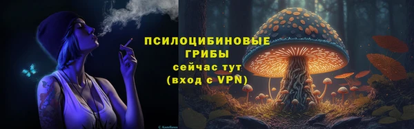 эйфоретик Струнино