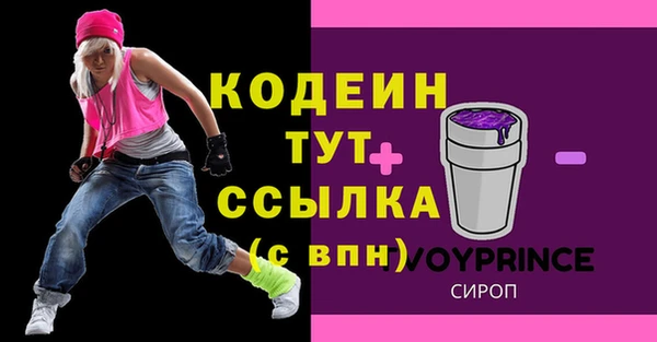 стаф Верея