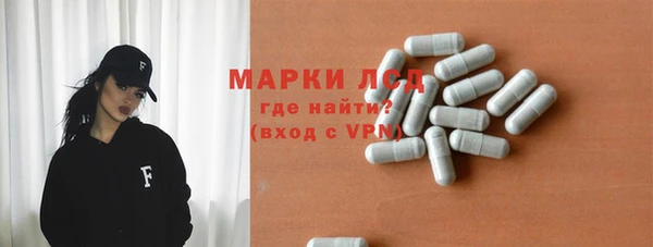 стаф Верея