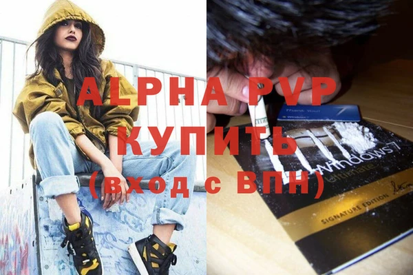 индика Верхний Тагил
