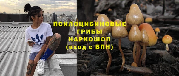 эйфоретик Струнино