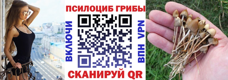 Псилоцибиновые грибы Magic Shrooms  как найти закладки  Снежинск 