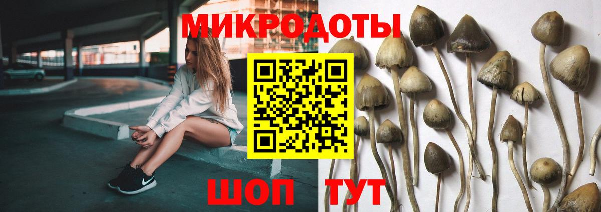 Галлюциногенные грибы GOLDEN TEACHER  Вход с VPN  Снежинск  Галлюциногенные грибы GOLDEN TEACHER 