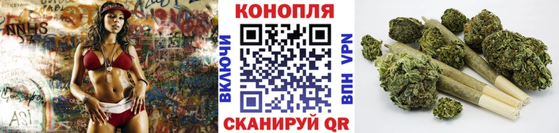 Бошки Шишки планчик  где купить наркотик  Снежинск 